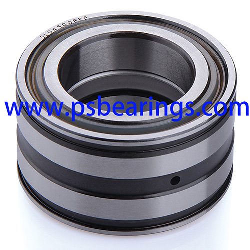 Double Rows Full Complement Cylindrical Roller Bearings - PS Bearings MFG  Limited